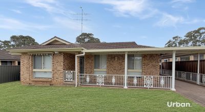 St Clair 24 Windrush Circuit