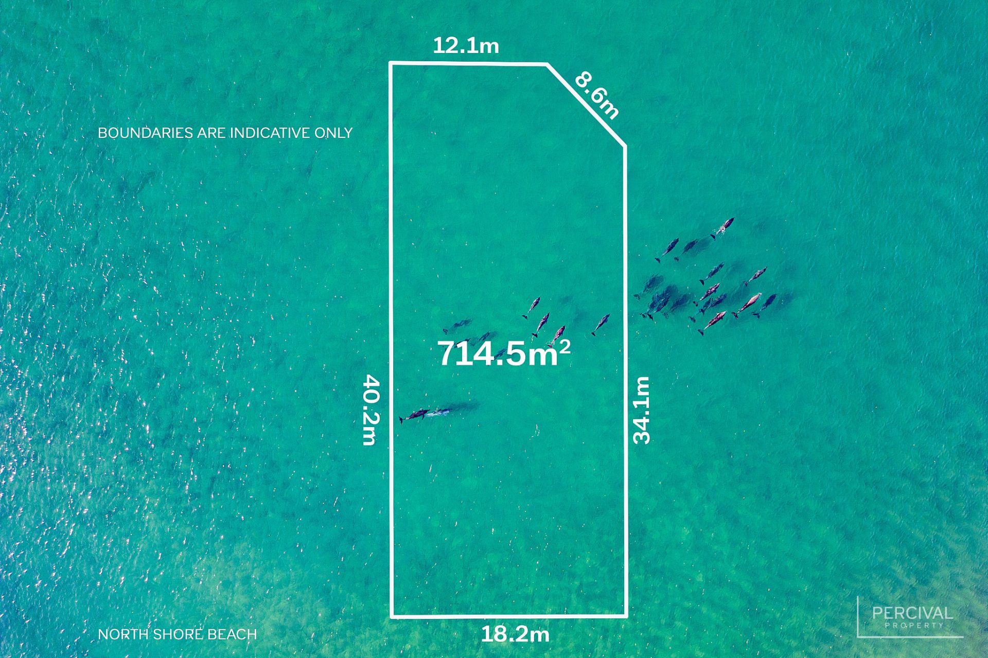 334 Plomer Road North Shore NSW, North Shore - Thumbnail 2