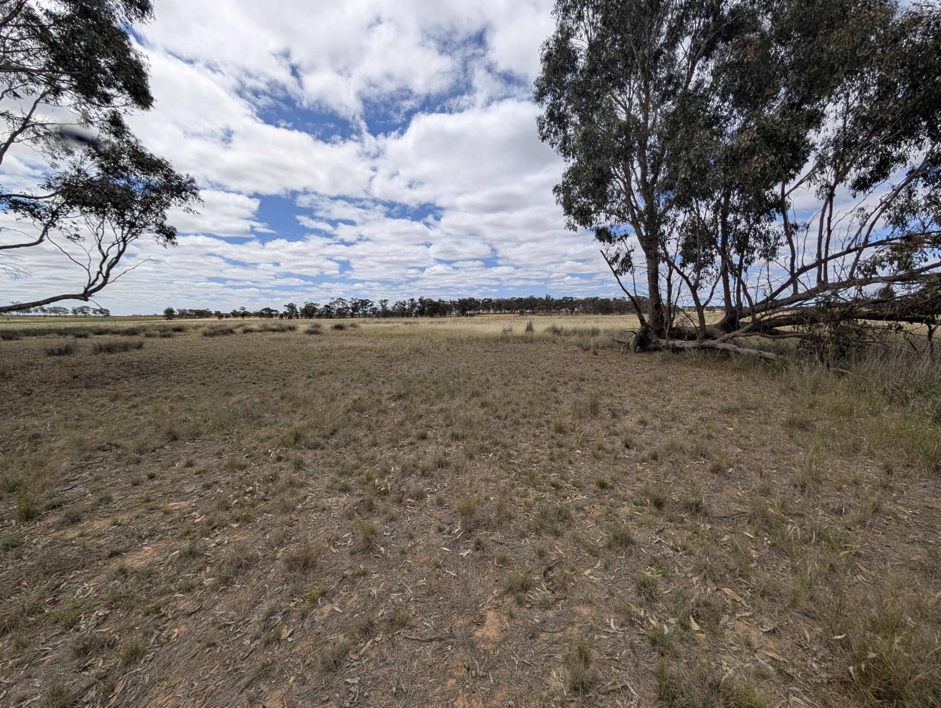 5a Logan-Bealiba Road, Cochranes Creek - Thumbnail 6