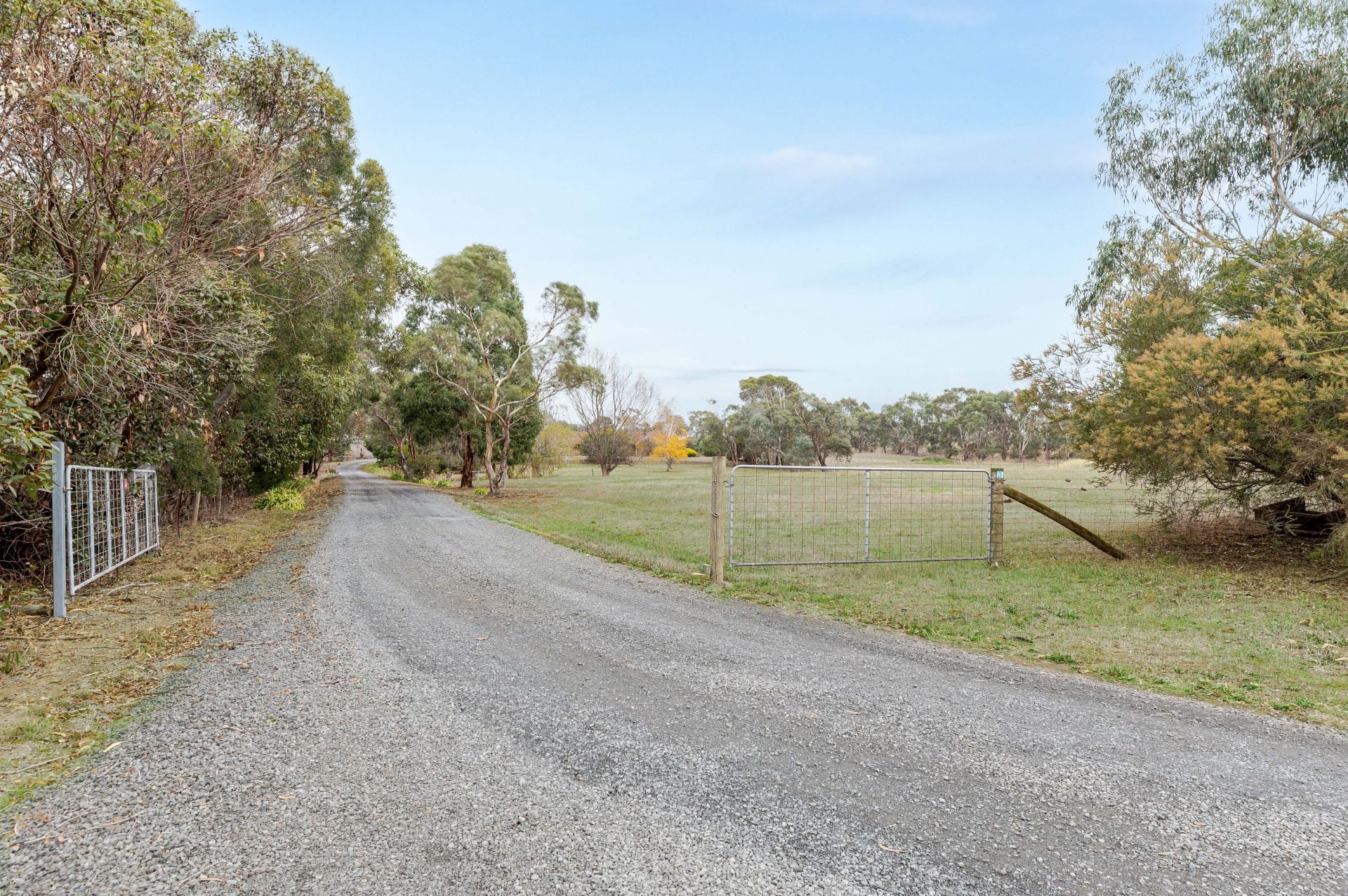 61 Schreenans Road, Bonshaw, Bonshaw - Image 1