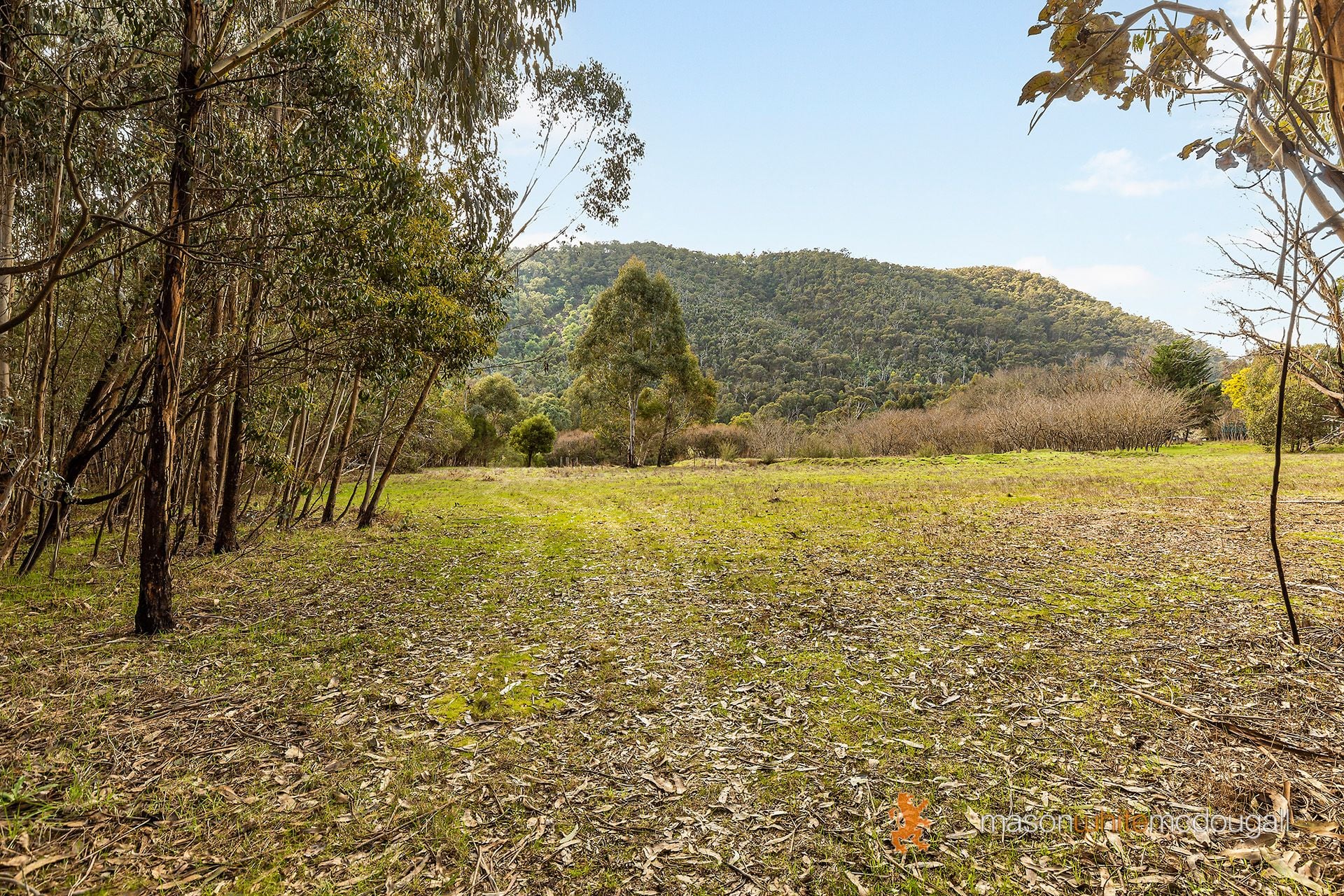 3493 Whittlesea-Yea Road Flowerdale VIC, Flowerdale - Thumbnail 3
