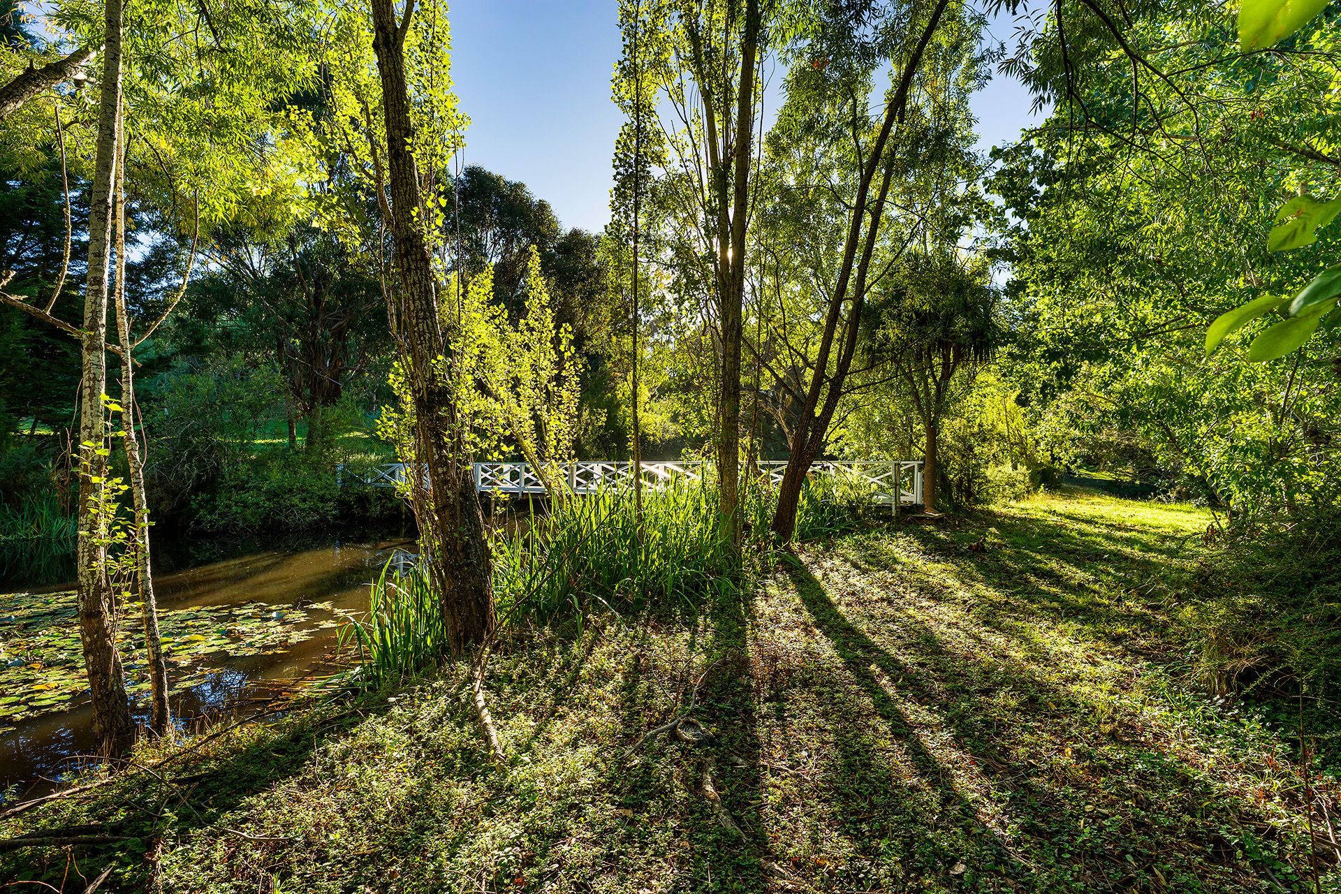 45 Perrins Street Daylesford, Daylesford - Thumbnail 5