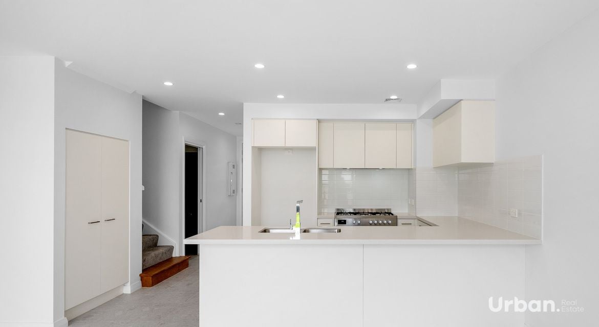 Oran Park 36 Brangus Loop