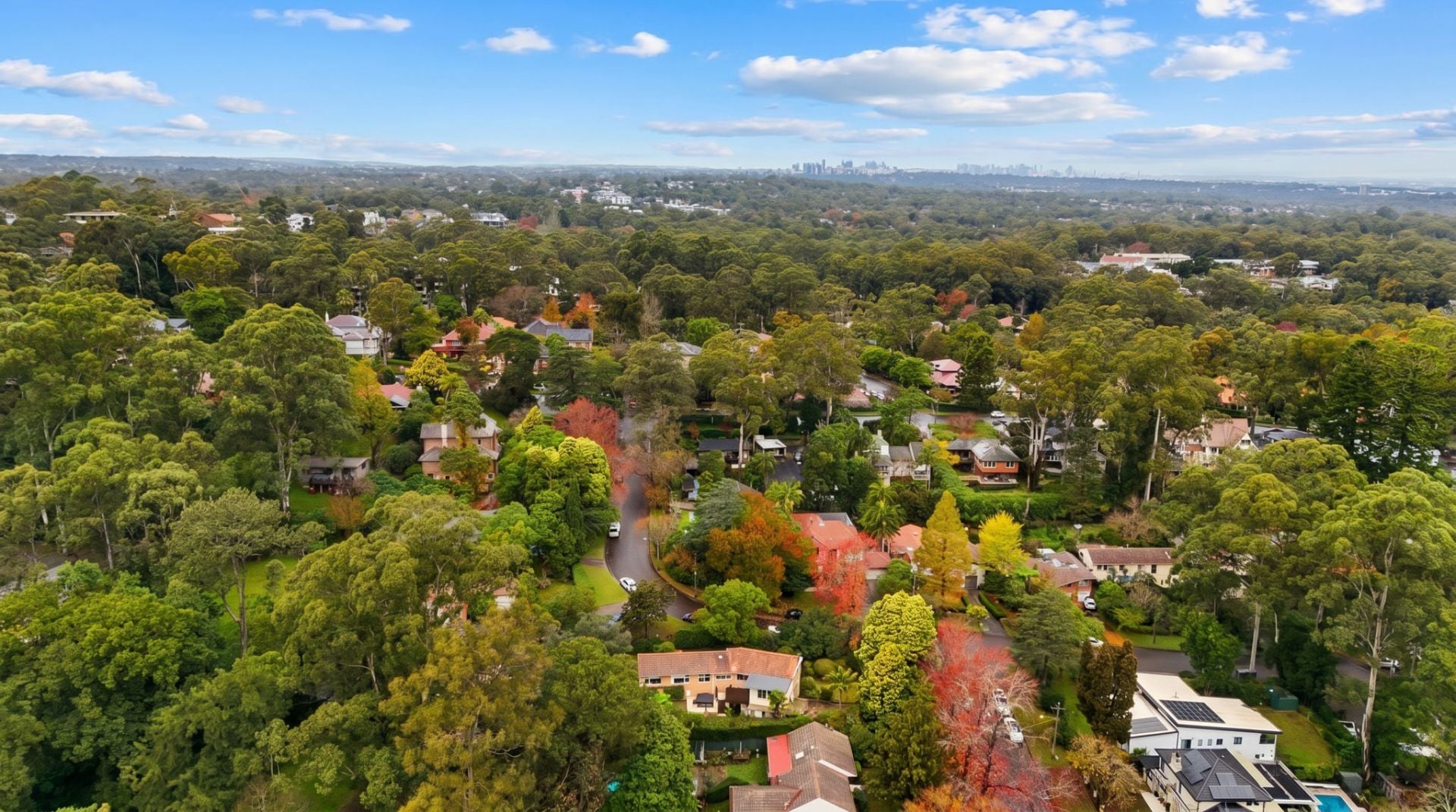 1 Jubilee Avenue, Pymble, Pymble - Thumbnail 3