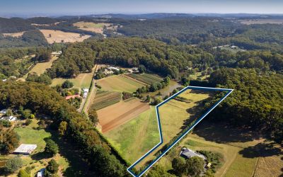130 Gembrook-Tonimbuk Road Gembrook VIC, Gembrook - Thumbnail 7