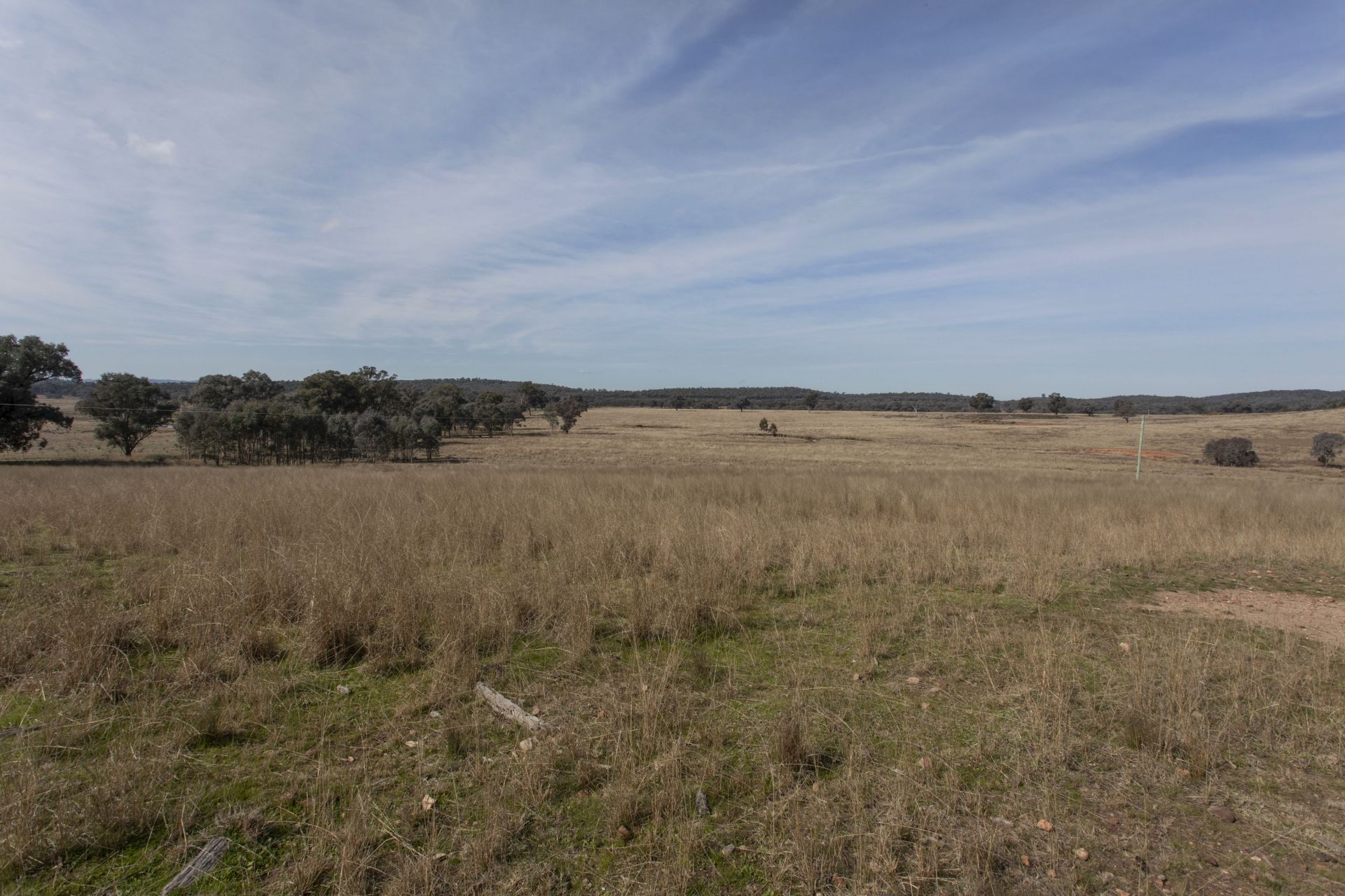 367 Stoney Hill Road, Cowra NSW, Cowra - Thumbnail 7