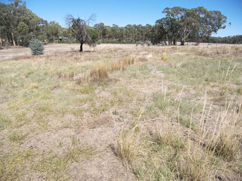 5/ Jean Alice Drive Junortoun VIC, Junortoun - Thumbnail 5