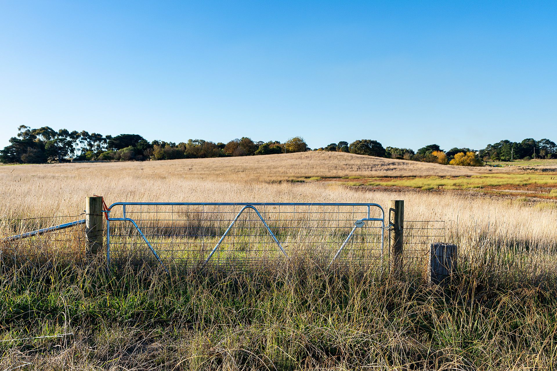 Lot 1/ Glenelg Highway, Wickliffe VIC 3379