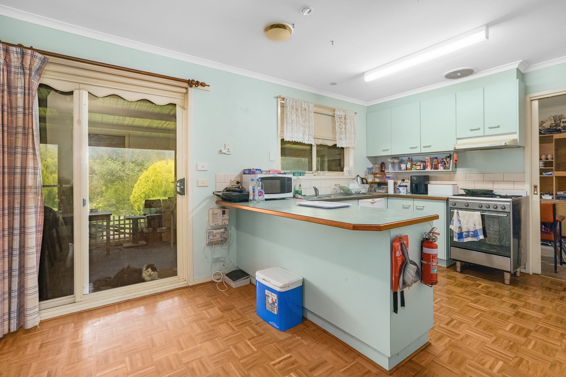 7 Scott Street, Buninyong, Buninyong - Thumbnail 5