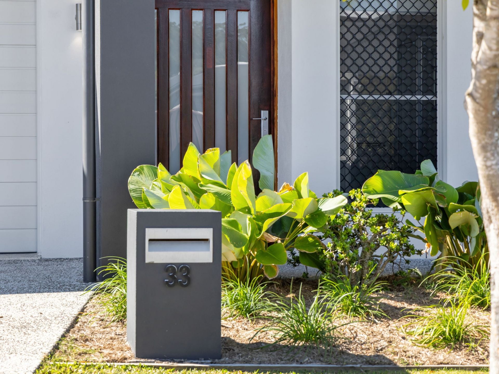33 Ficus Drive, Palmview, Palmview - Thumbnail 3