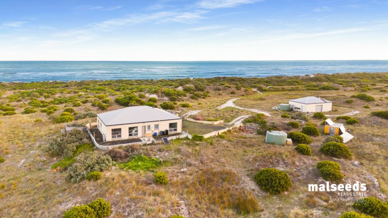 137 Paradise Road Wye SA, Wye - Thumbnail 4