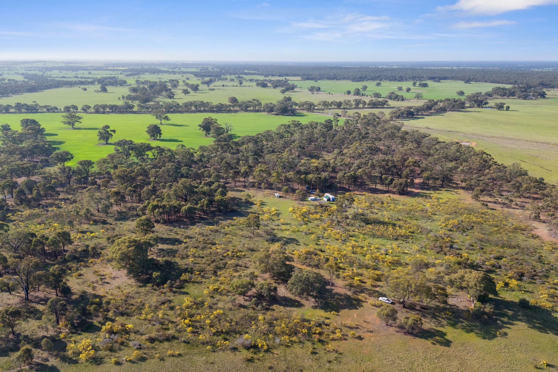 CA19 Bendigo - Maryborough Road, Shelbourne, Shelbourne, Shelbourne - Thumbnail 4