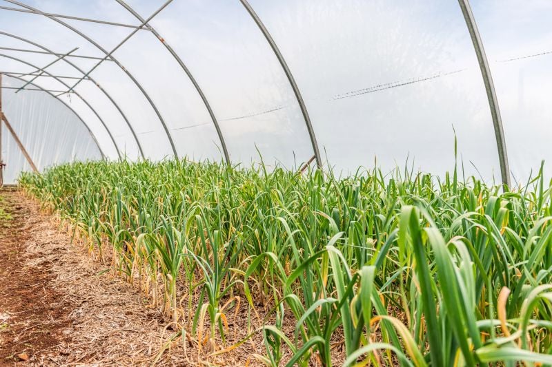 1459 Daylesford-Trentham Road, Lyonville