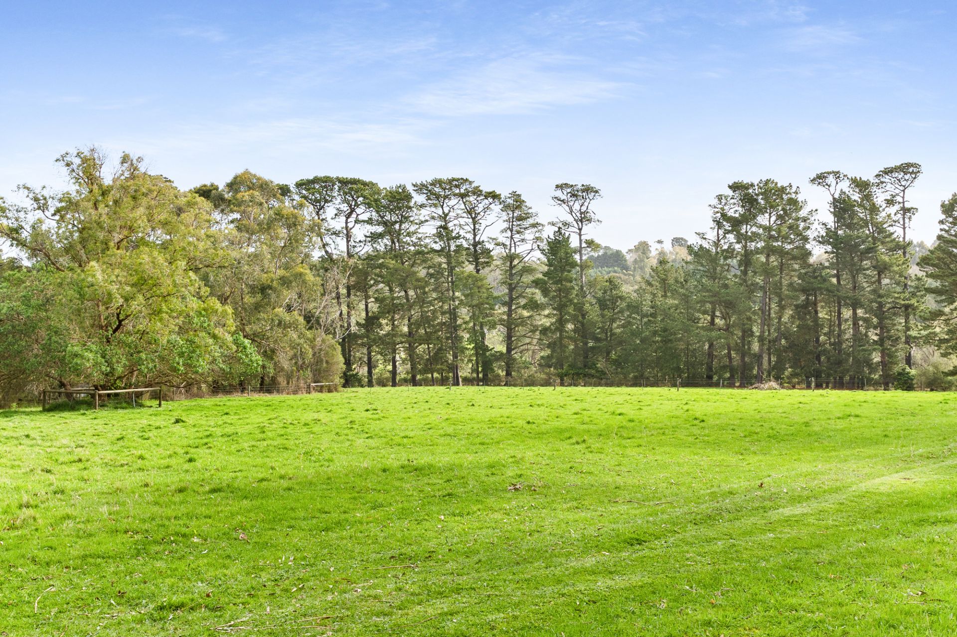 4 Kentucky Road, Merricks North, Merricks North - Thumbnail 5