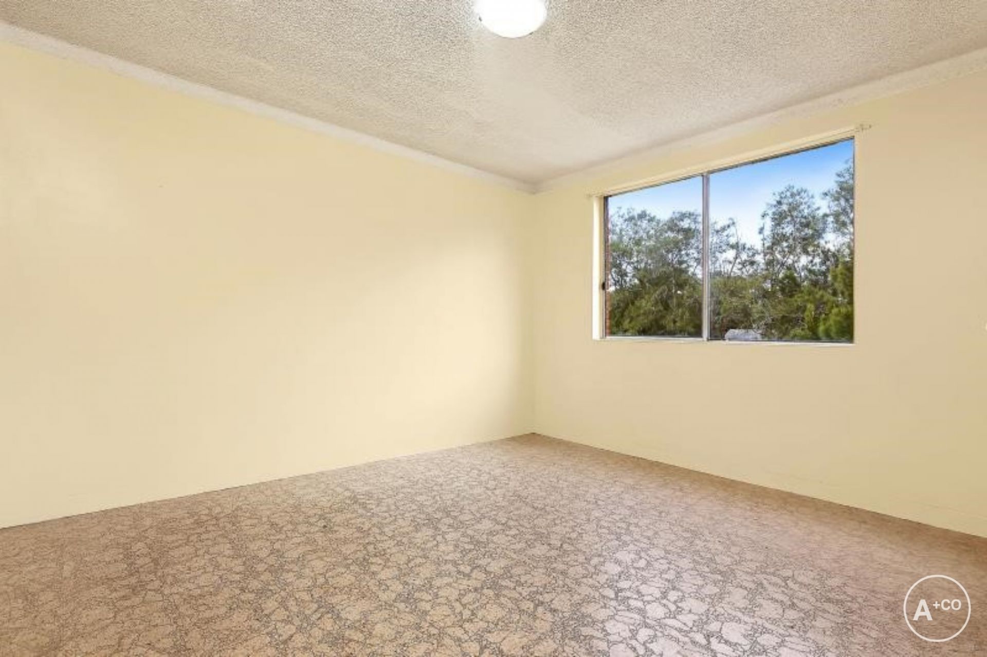 15/19 Livingstone Avenue, Botany, Botany - Thumbnail 5