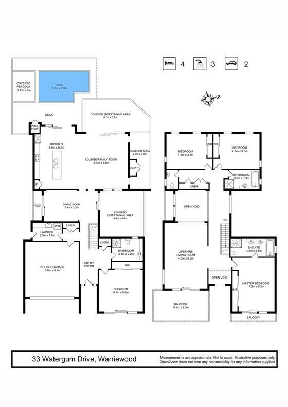 Immaculate Family Entertainer
