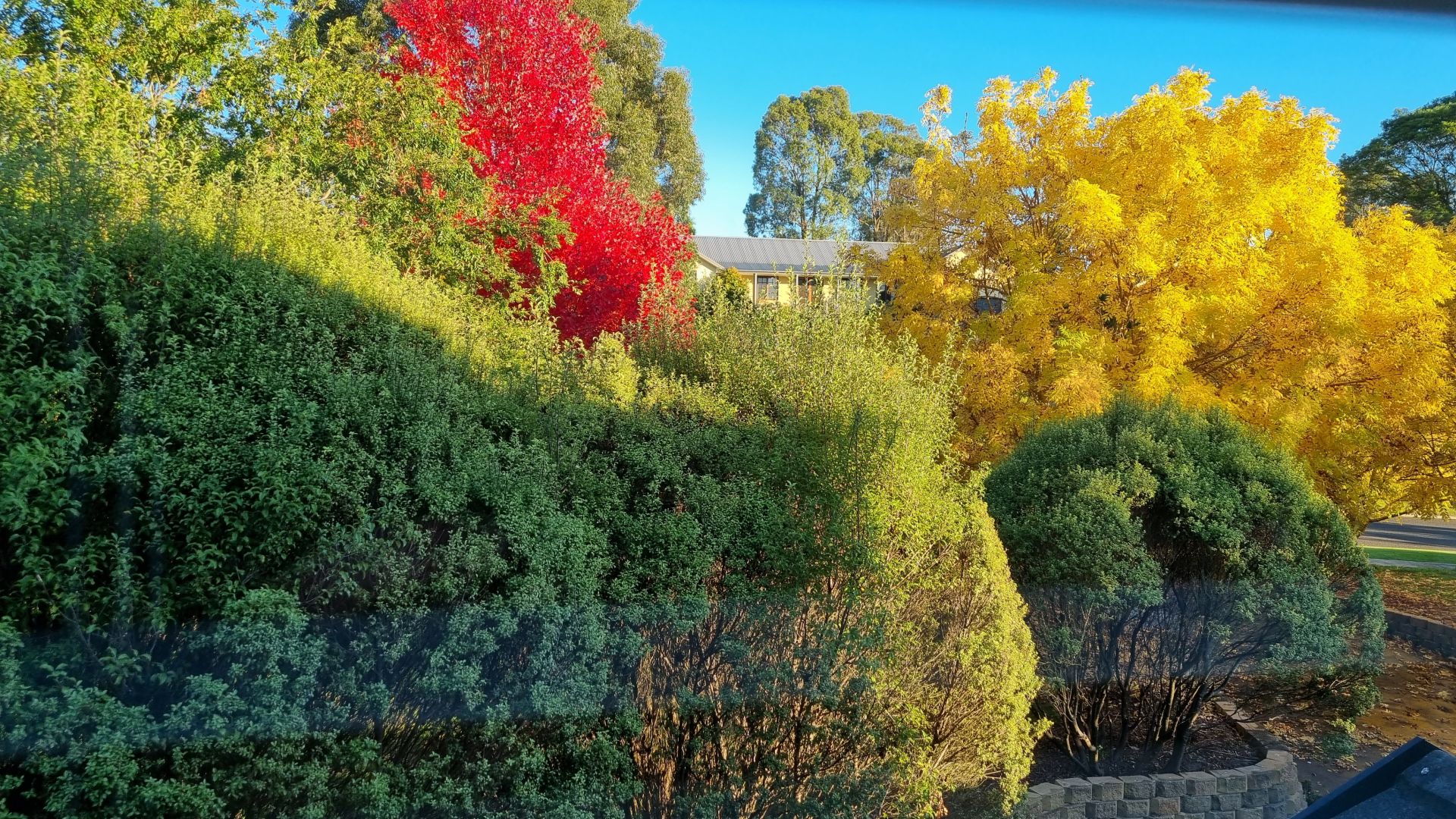 25 Rosemary Crescent, Bowral, Bowral - Thumbnail 2