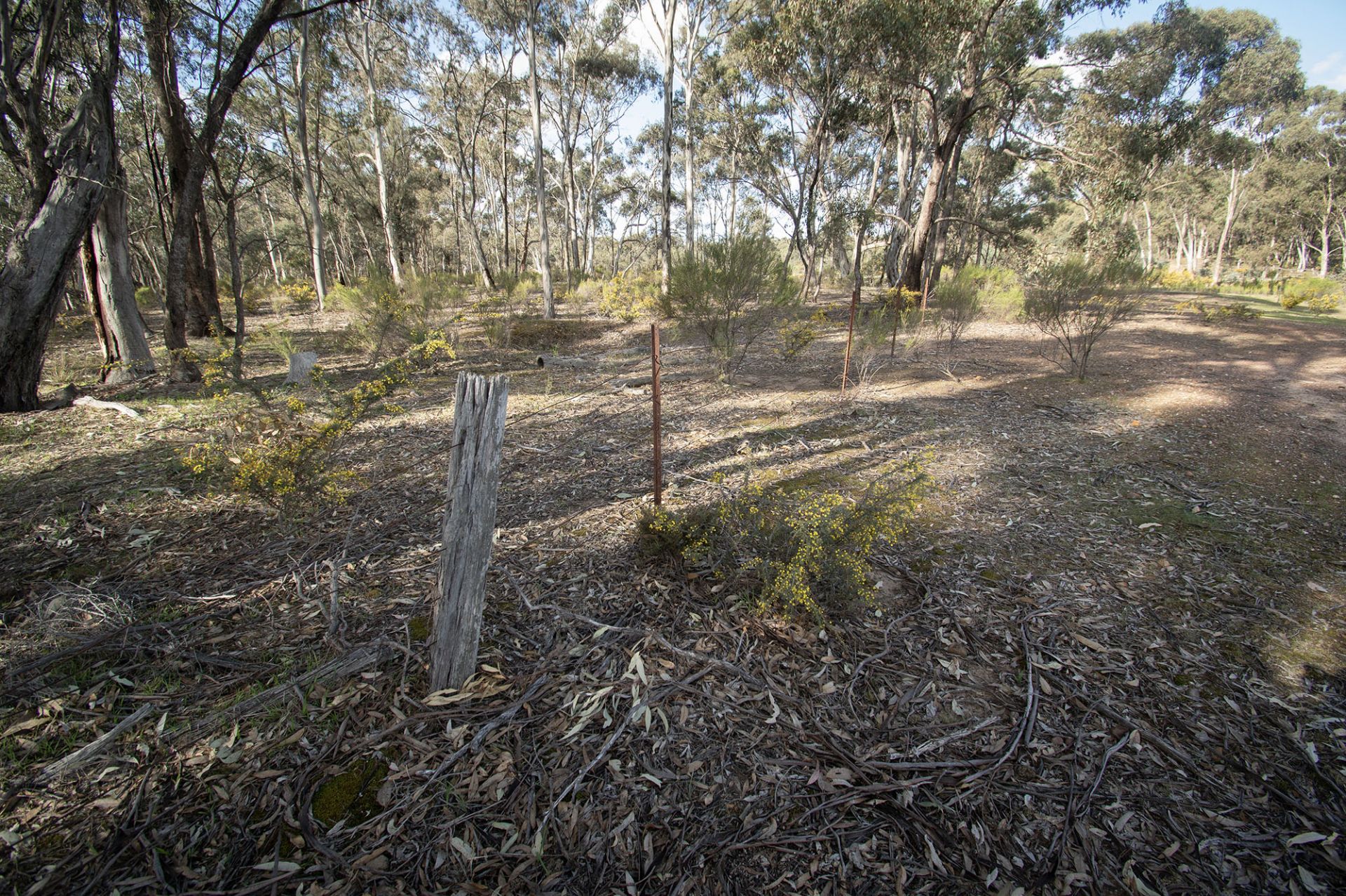 300 St-Arnaud-Dunolly Road, Goldsborough - Thumbnail 6