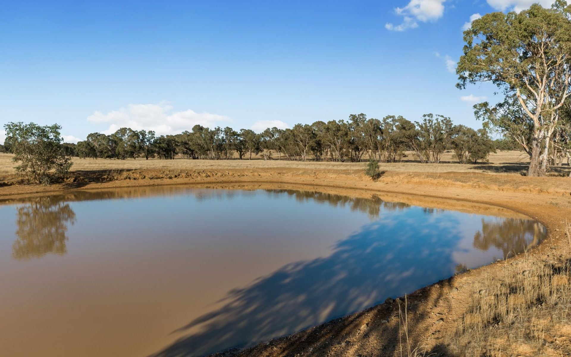2/ Gleesons Road, Axe Creek, Axe Creek, Axe Creek - Image 1