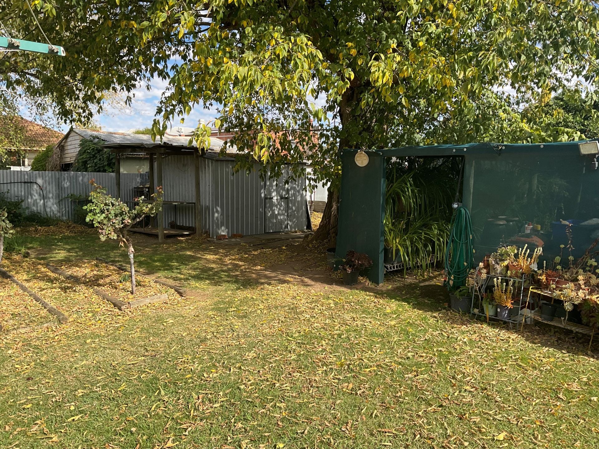 5 Wirbill Street Cobram VIC, Cobram - Image 1