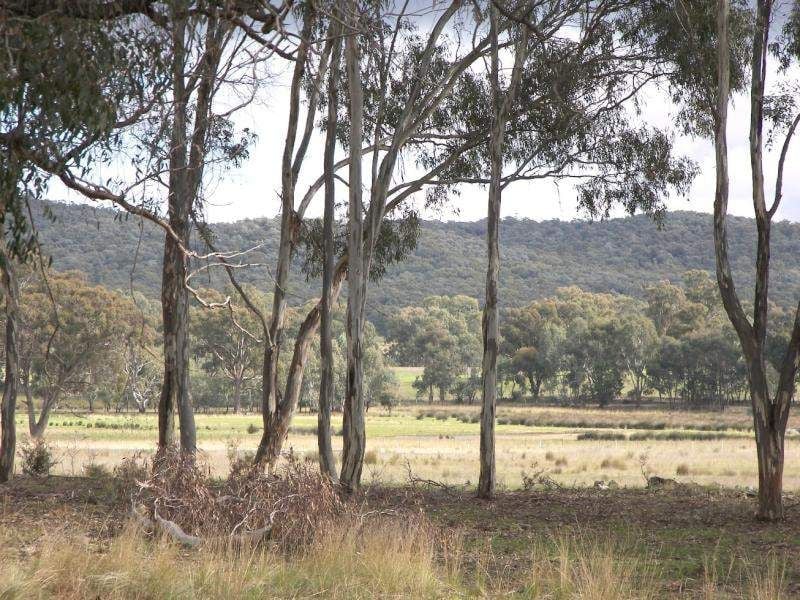 Axe Creek, Axe Creek - Thumbnail 4