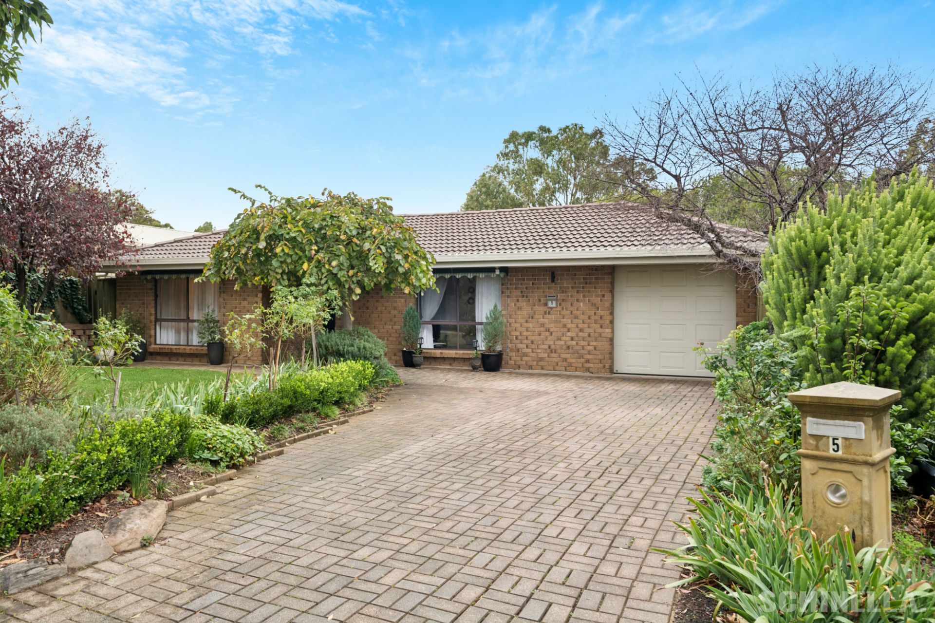 5 St Georges Court, Morphett Vale - Thumbnail 4