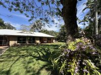 272 Old Palmwoods Road Palmwoods QLD, Palmwoods - Thumbnail 8
