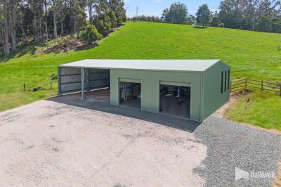 2
 
 
 
  
 
 
 1
 
 
 
  
 
 
 5
 
 
 
 
 
 
 
 451 Bradys Plain Road, Parkham TAS 7304, Parkham - Thumbnail 3