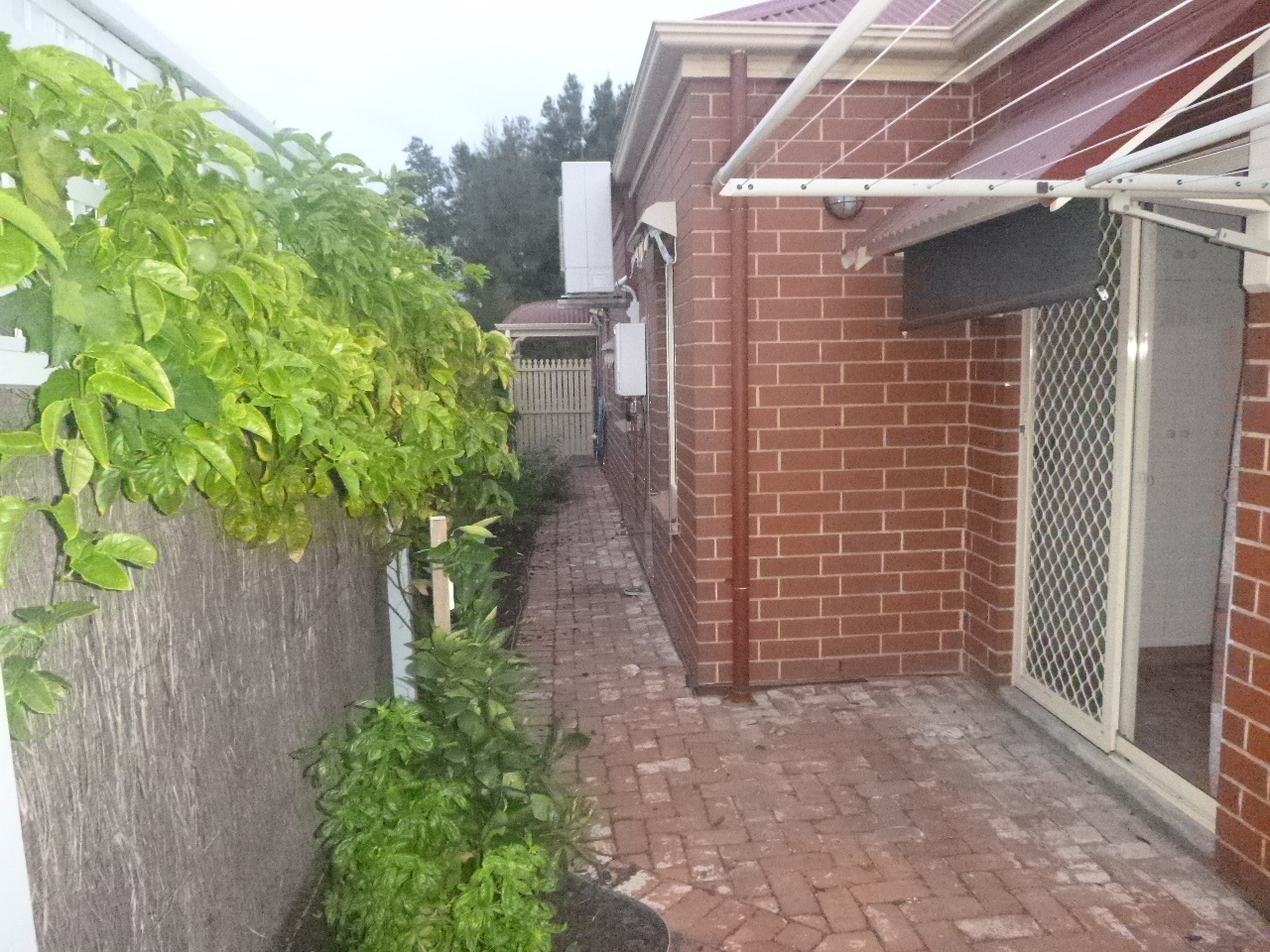 8 Coopers Crescent Mawson Lakes 5095