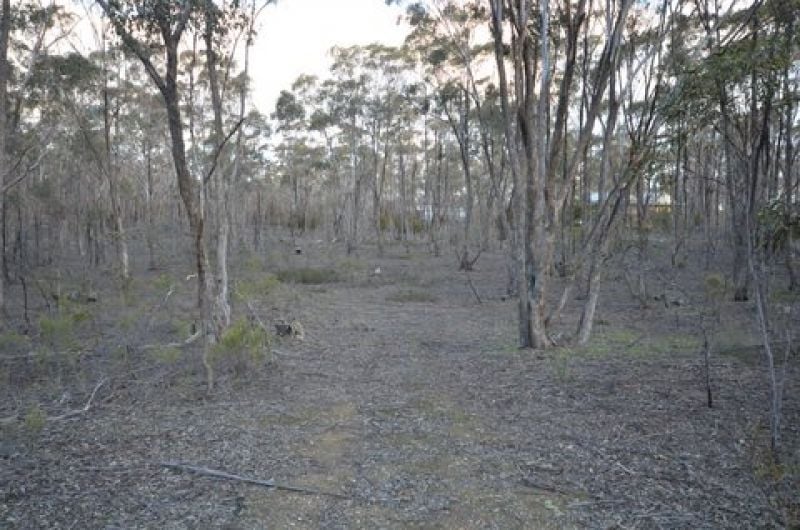 2/ Willy Milly Road Castlemaine VIC, Castlemaine - Thumbnail 6