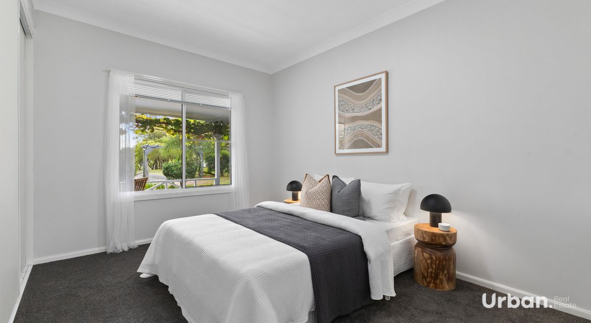 Bellbird 89b Edden Street