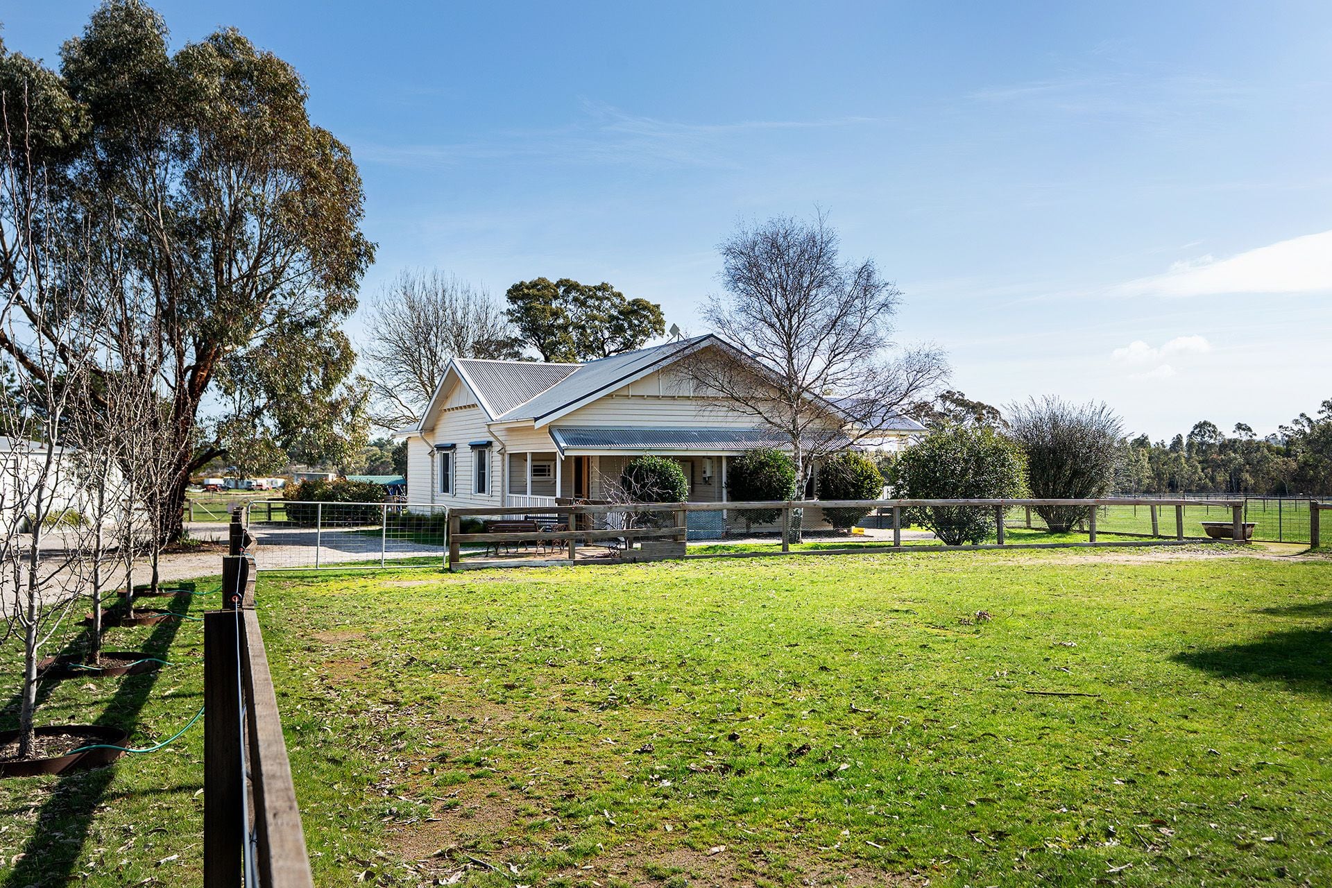 81 Thompson Street, Elphinstone - Thumbnail 2