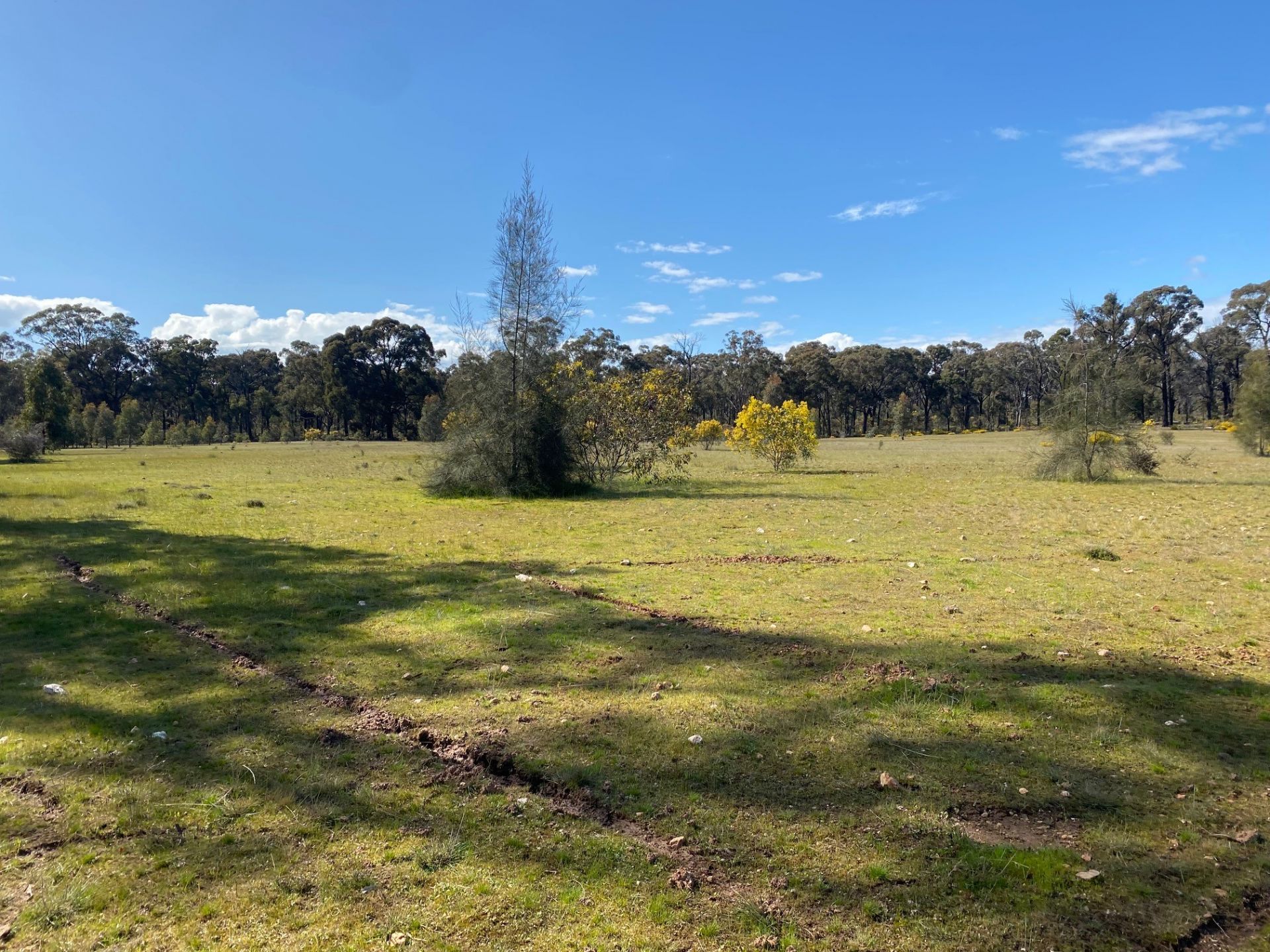 25/ Dunolly-Rheola Road, Dunolly - Thumbnail 4