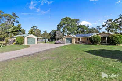 4 Peppermint Court, Port Sorell, Port Sorell - Thumbnail 5