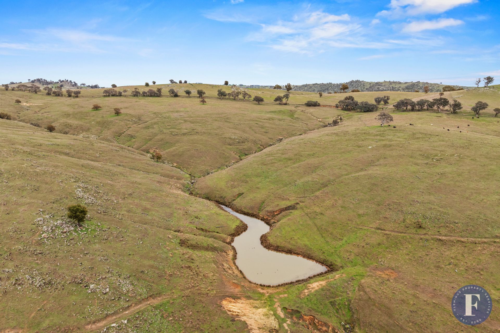 458 Ironbark Lane, Frogmore NSW, Frogmore - Thumbnail 4