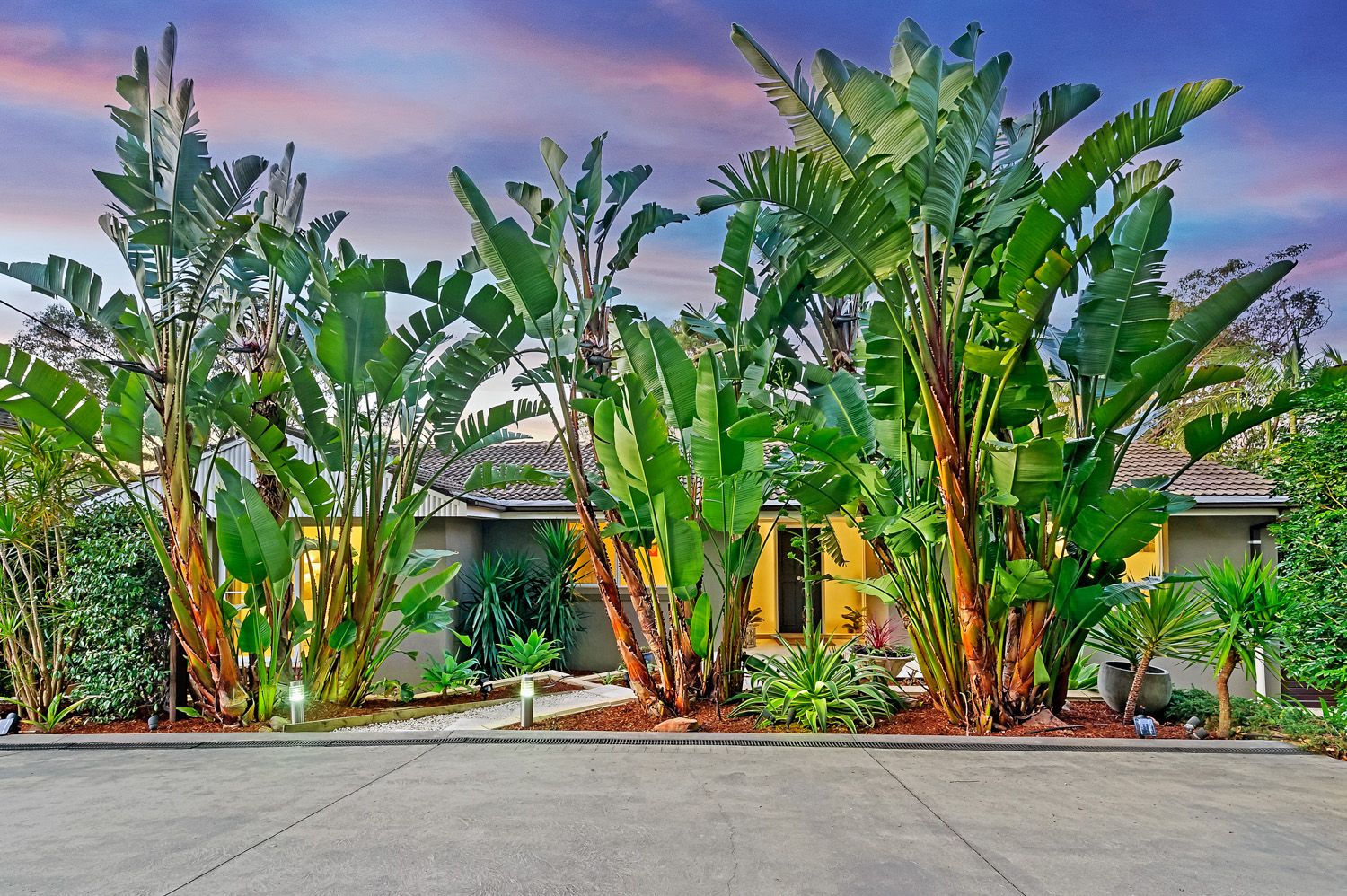 36 Jackson Crescent, Pennant Hills, Pennant Hills - Thumbnail 2