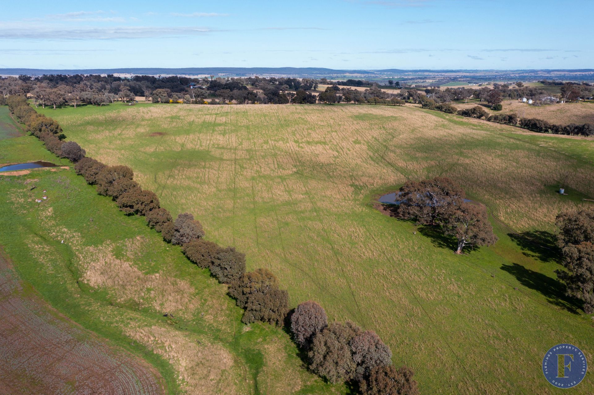 Lot 3 Milo Roads, Murringo NSW, Murringo - Thumbnail 8