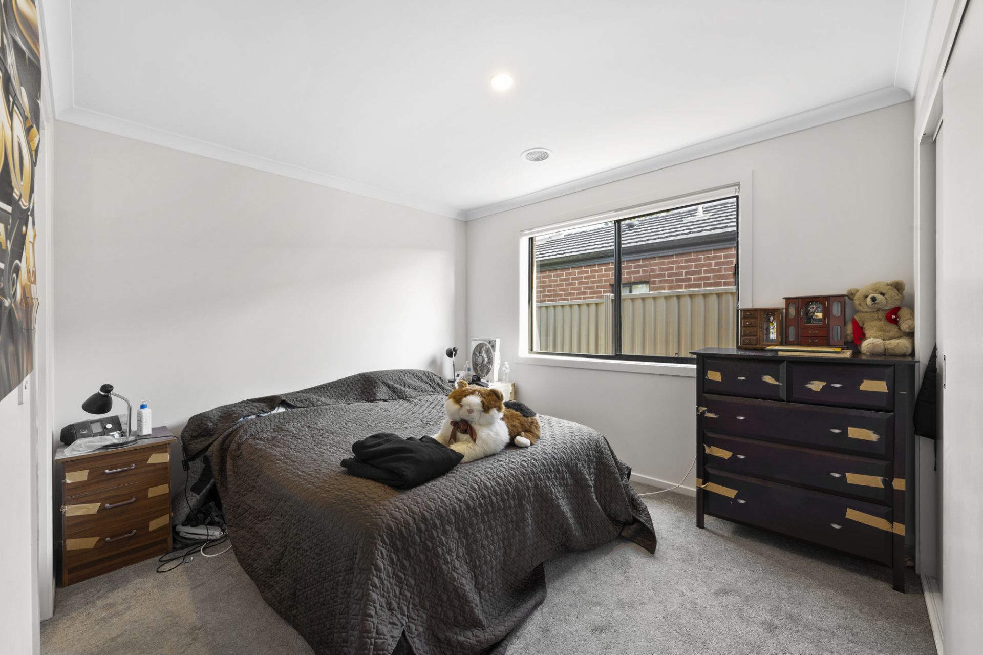 13 Withers Road, Bonshaw, Bonshaw - Thumbnail 6