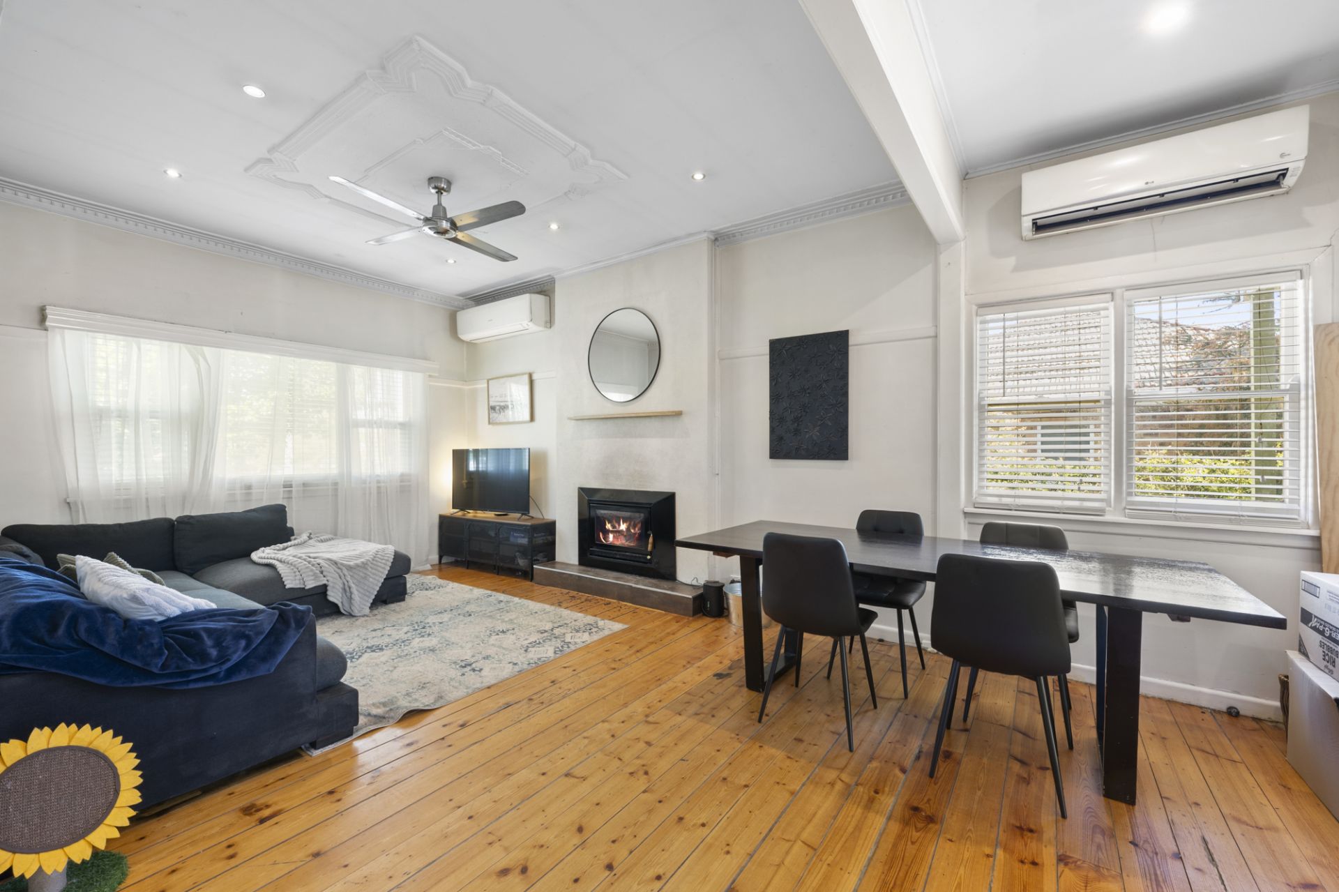 6 Halpin Street, Beaufort, Beaufort - Thumbnail 8