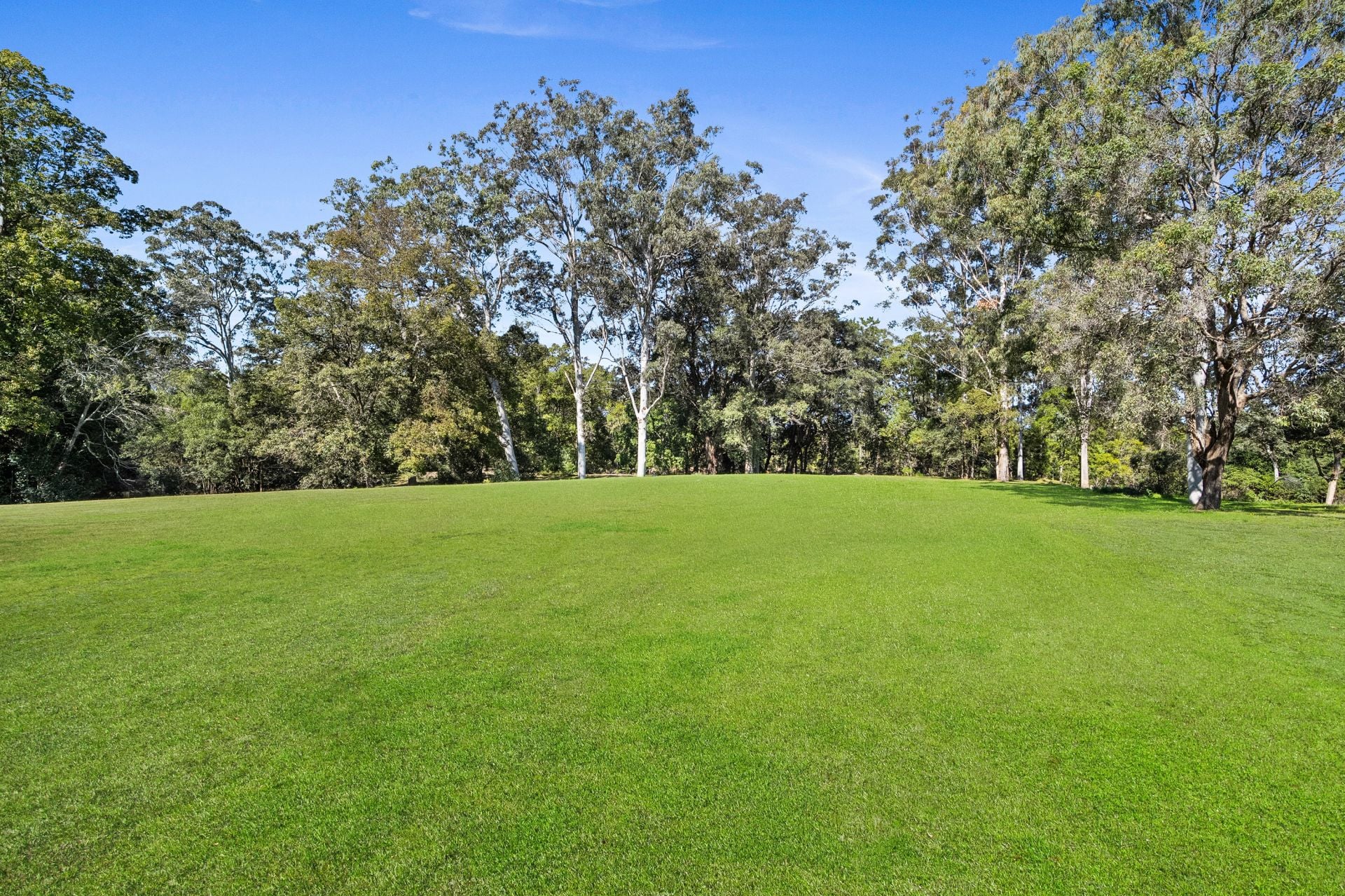 109 - 113 Alison Road, Wyong, Wyong - Thumbnail 7
