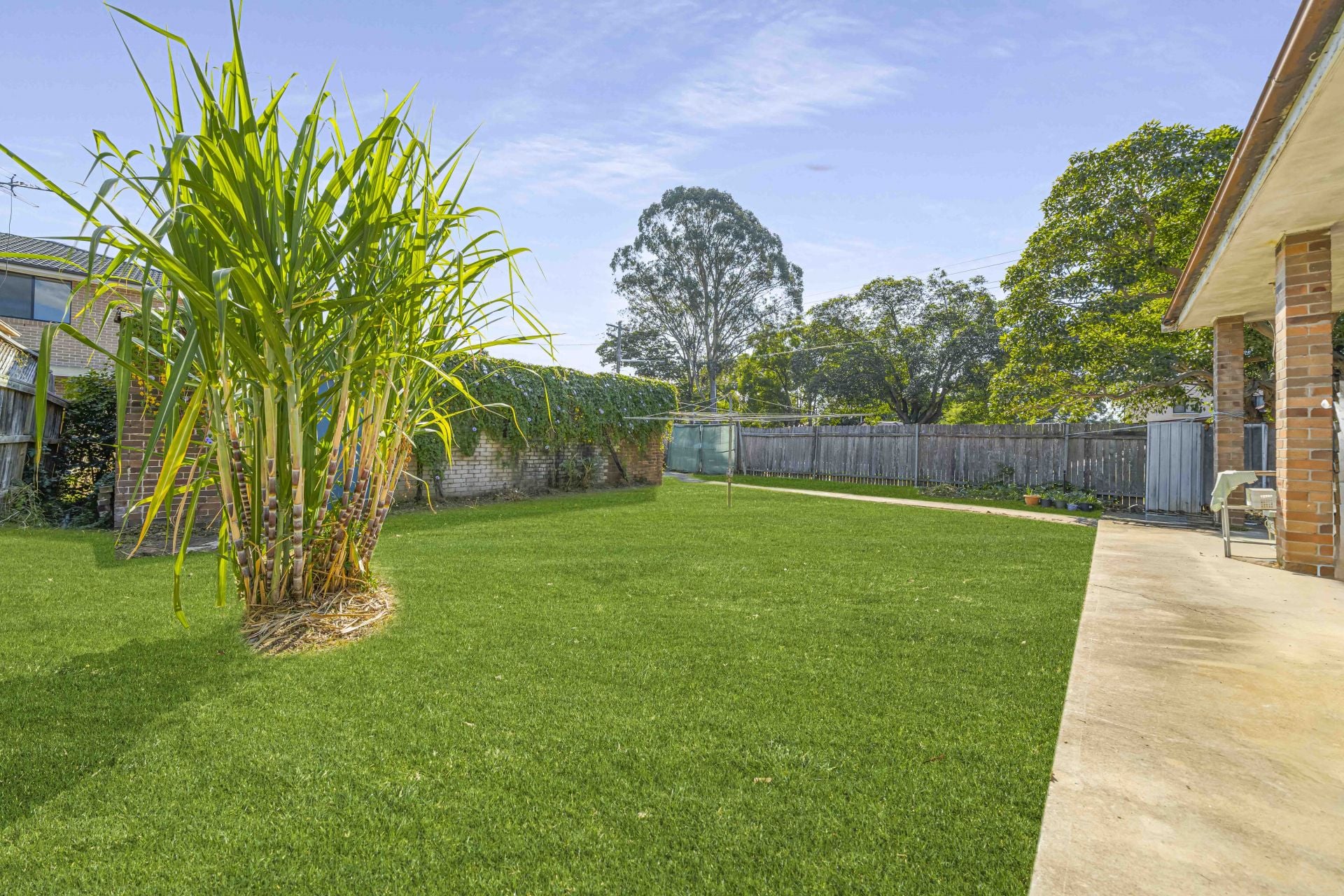 89 Rochester Street Strathfield NSW, Strathfield - Thumbnail 3