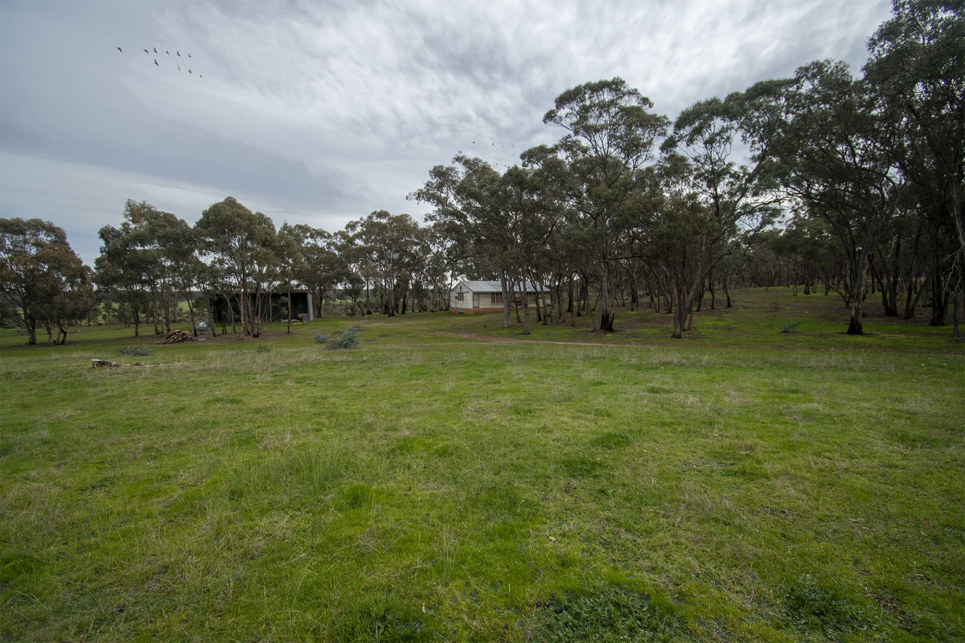 67 Carisbrook-Eddington Road, Carisbrook - Thumbnail 4
