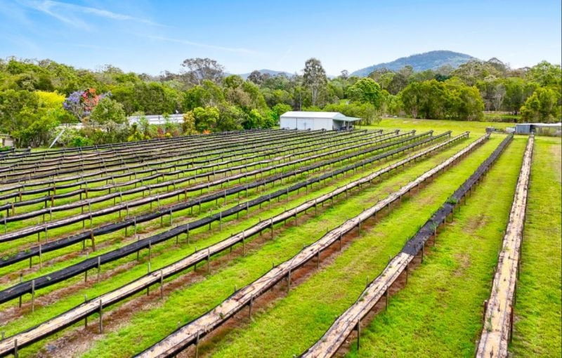 197 Stephan Road, Goomboorian For Sale by Farmbuy.com - image 6