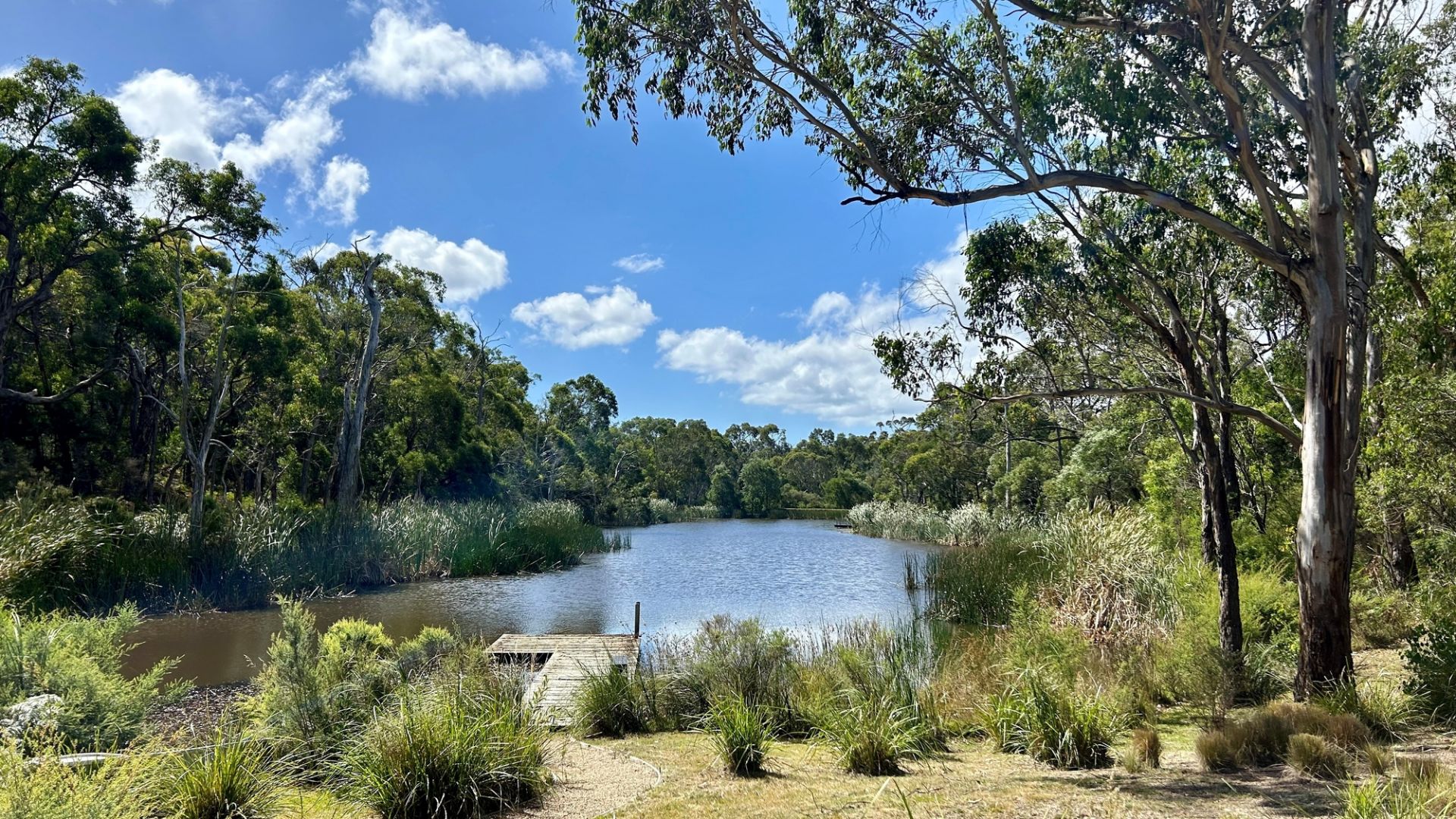 61 Bulldog Creek Road, Merricks North, Merricks North - Thumbnail 4