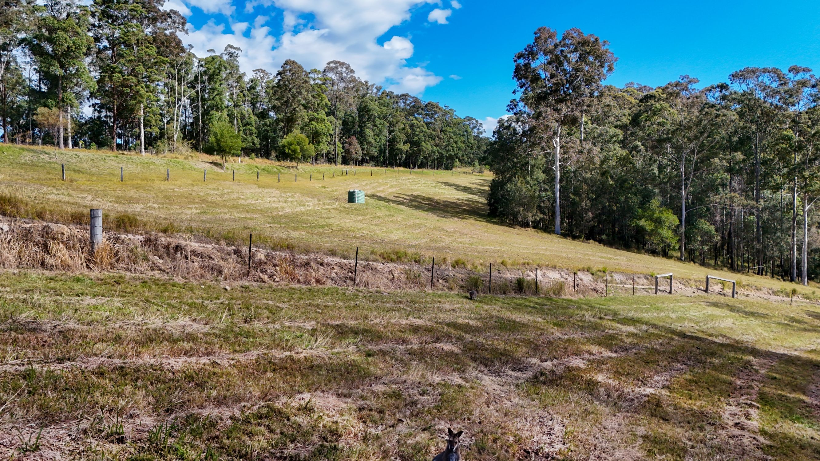 354 Brookhouse Rd, PEMBROOKE NSW 2446