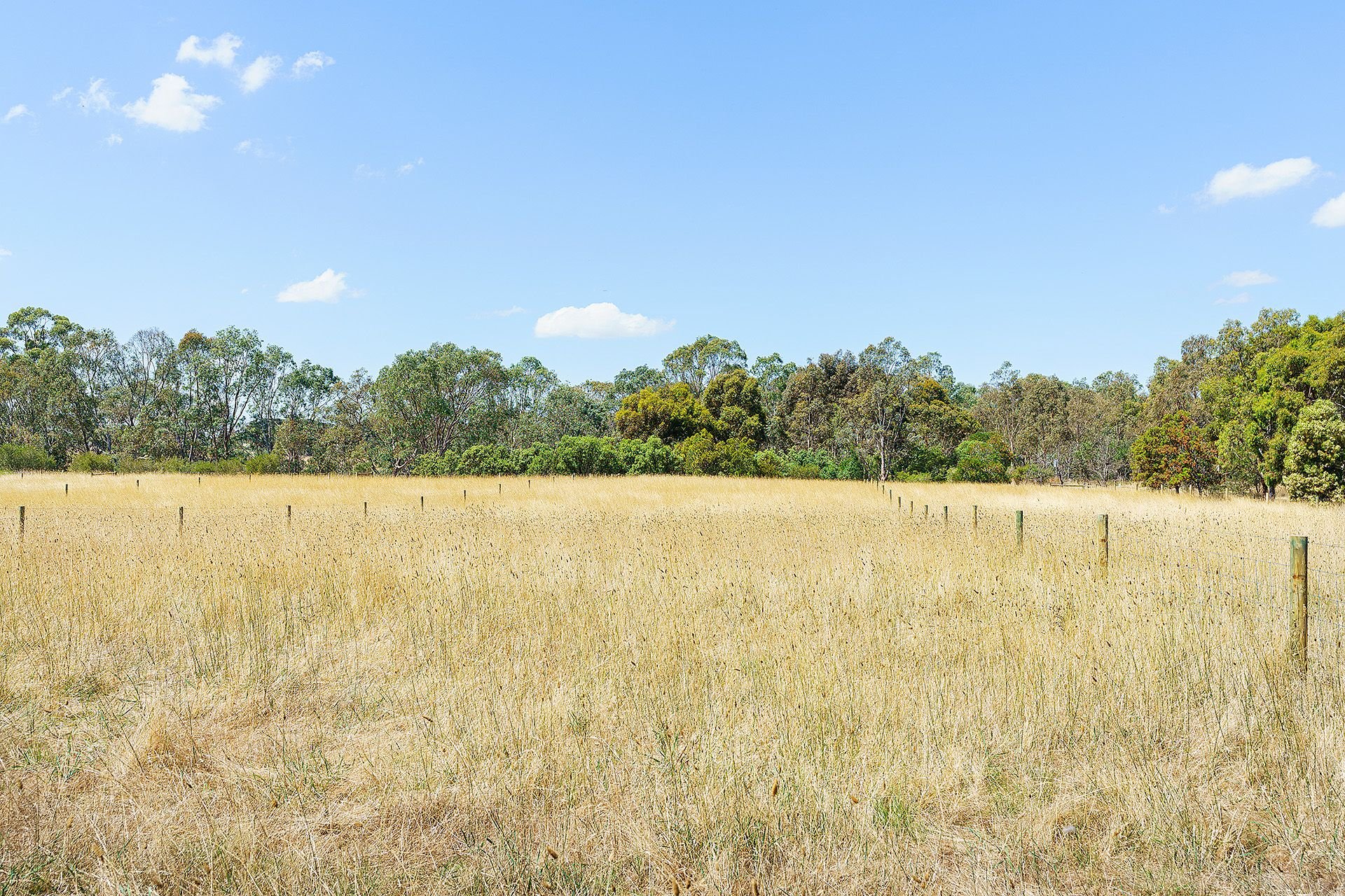 C/A 3/ Saleyard Road, Inverleigh VIC 3321