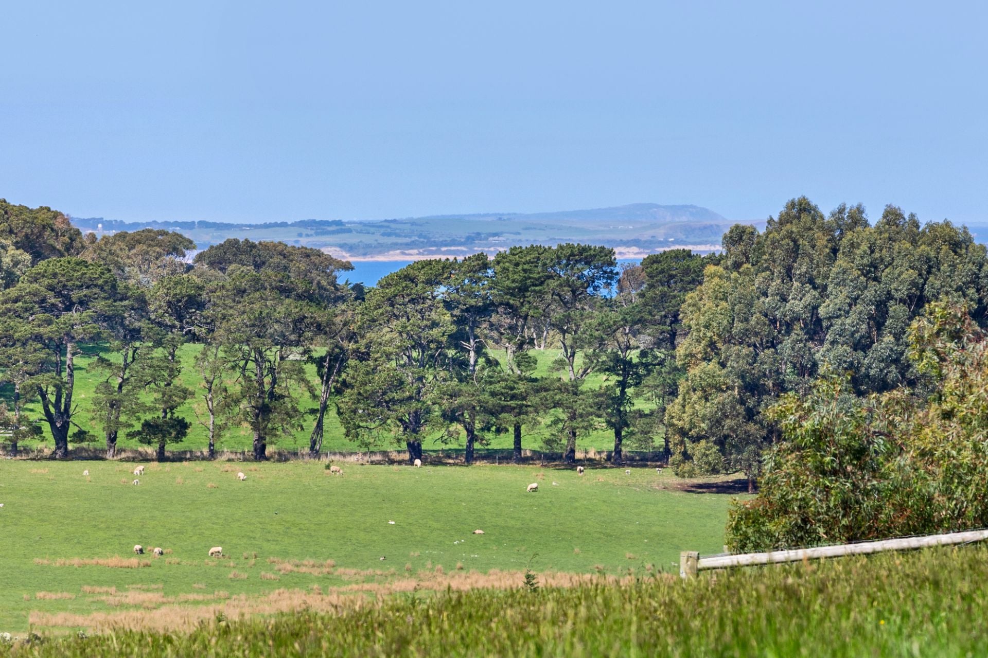 2091 Mornington-Flinders Road, Flinders, Flinders - Thumbnail 2