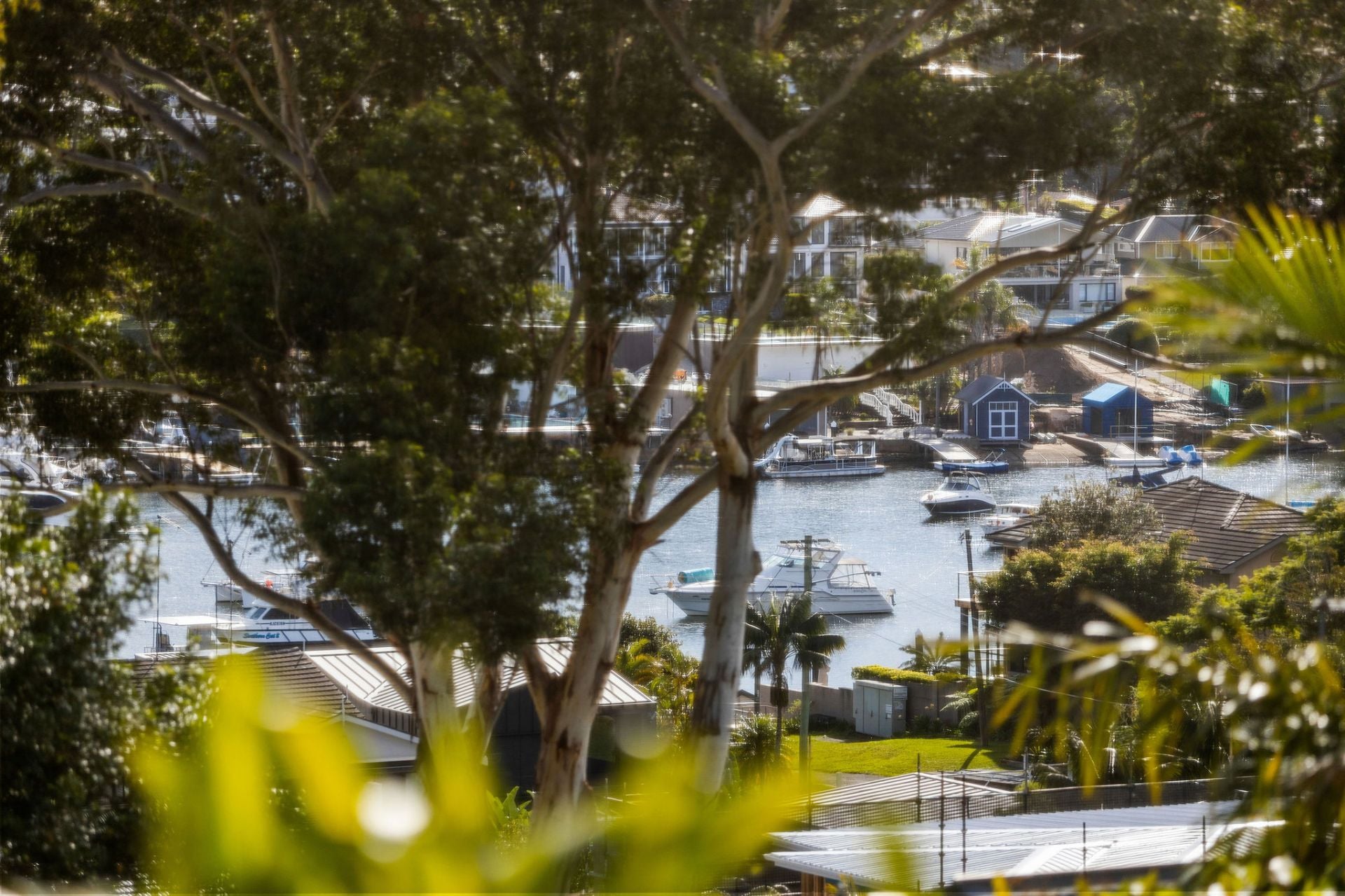 3 Bayside Place, Caringbah South NSW, Caringbah South - Thumbnail 4
