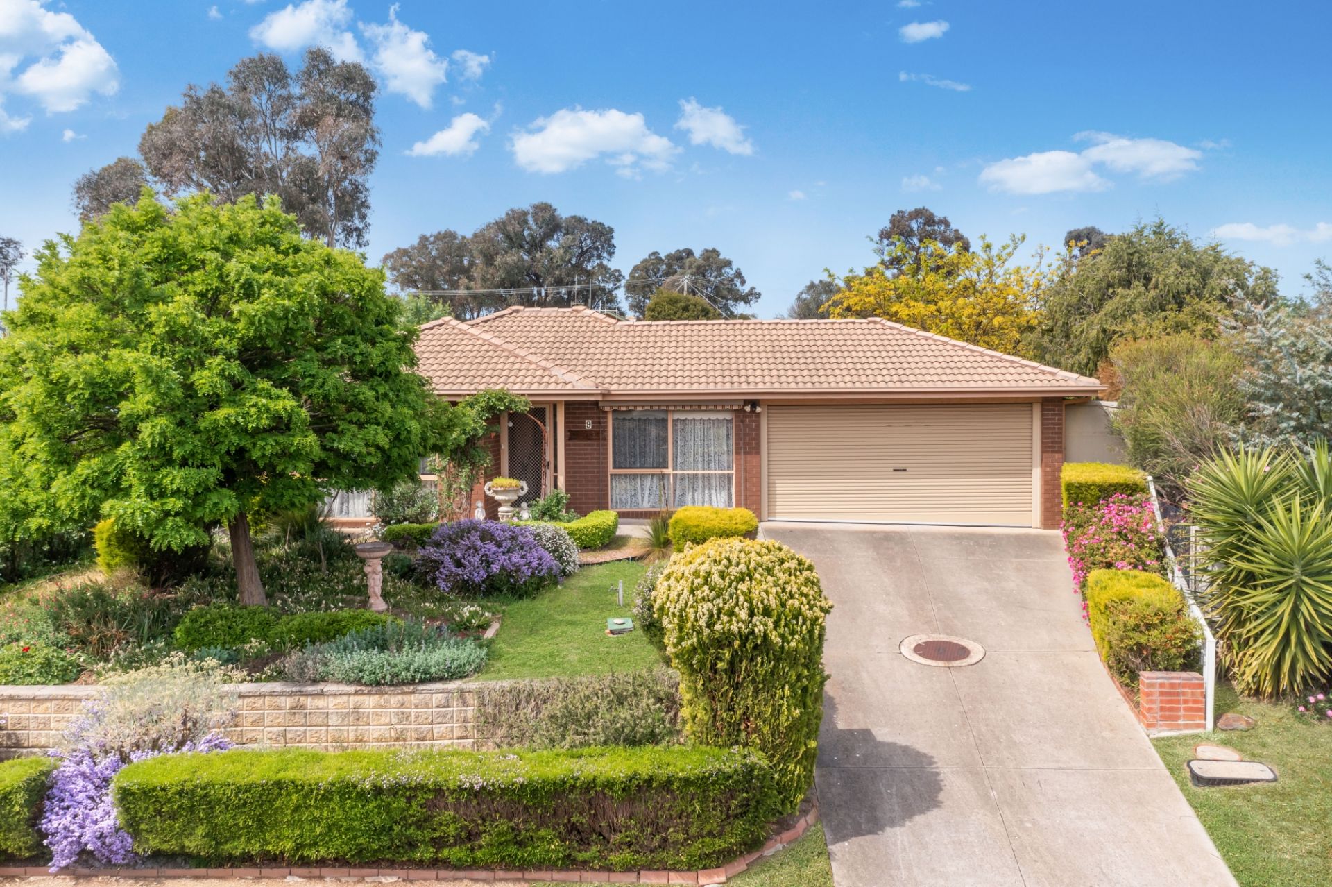 9 Windsor Court, Kangaroo Flat, Kangaroo Flat, Kangaroo Flat - Thumbnail 2
