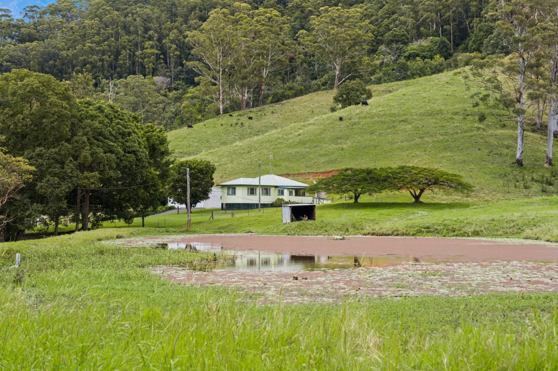 81 Harwood Road, Burringbar - Thumbnail 7